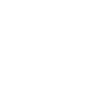 Marca Chile